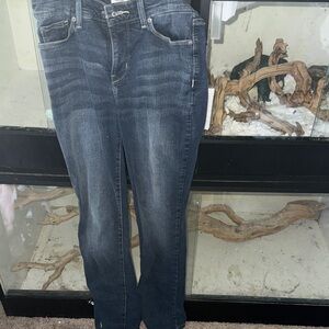 Signature by Levi Strauss Dark Wash Straight Leg Jeans